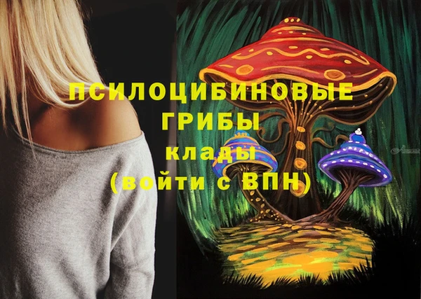 меф Алзамай