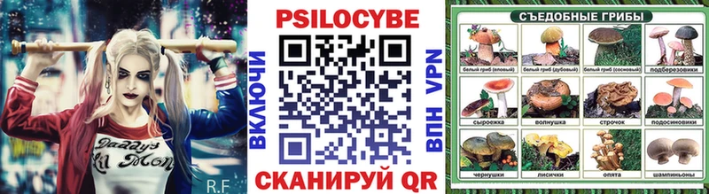 Псилоцибиновые грибы Psilocybine cubensis  цены   Уварово 